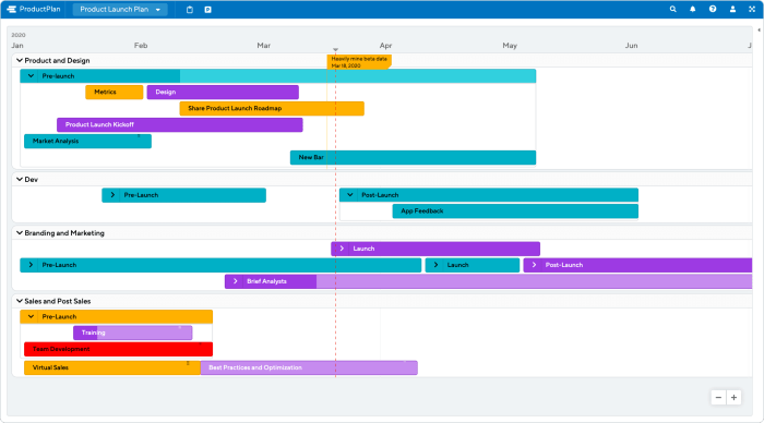 Developing a Product Launch Plan